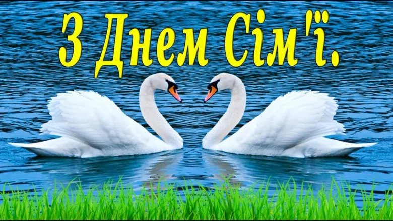 Два лебеді у формі серця на воді з привітанням.