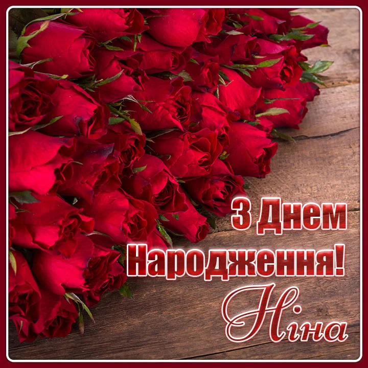 Червоні троянди та привітання з днем народження Ніна.