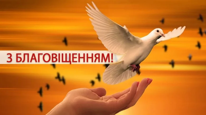 Біла голубка над рукою на фоні заходу сонця