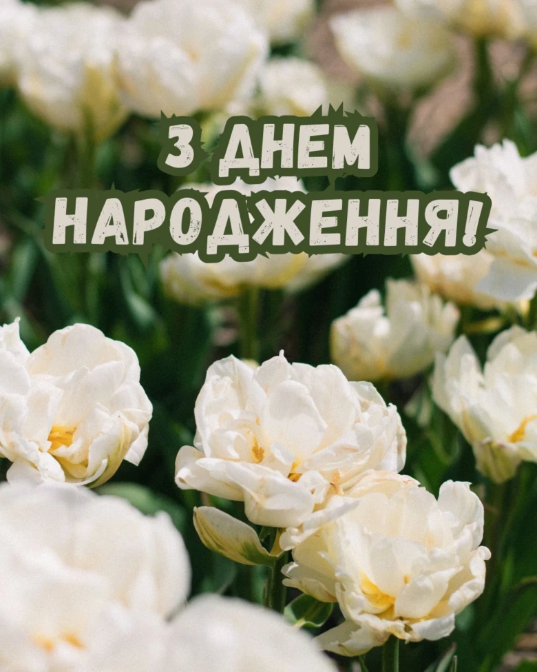 Білі квіти на фоні привітання з Днем Народження українською.