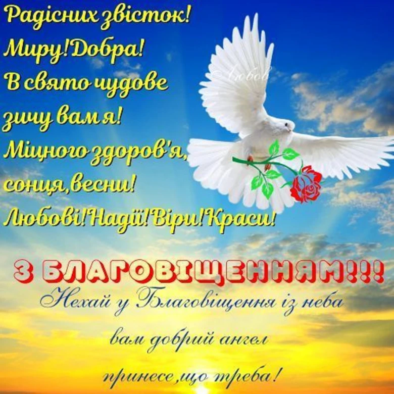 Білий голуб з трояндою на фоні неба та вітання