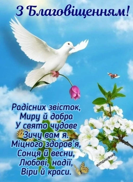 Біла голубка з трояндою на фоні квітучих гілок.