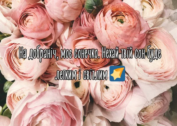 Розові троянди з побажаннями добраніч українською.