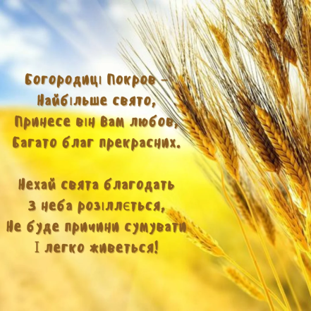 Золотий колос пшениці на блакитному небі з благословенням.