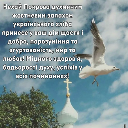 Голубка летит над церковью с благословением на Покров.